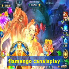 flamengo canaisplay